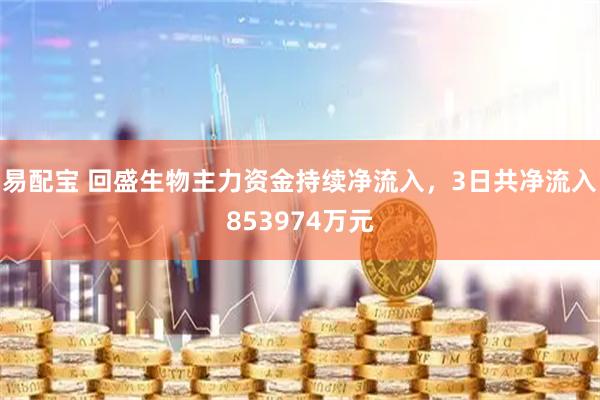 易配宝 回盛生物主力资金持续净流入，3日共净流入853974万元