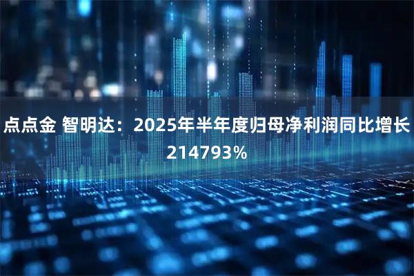 点点金 智明达：2025年半年度归母净利润同比增长214793%