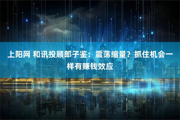 上阳网 和讯投顾郎子鉴：震荡缩量？抓住机会一样有赚钱效应